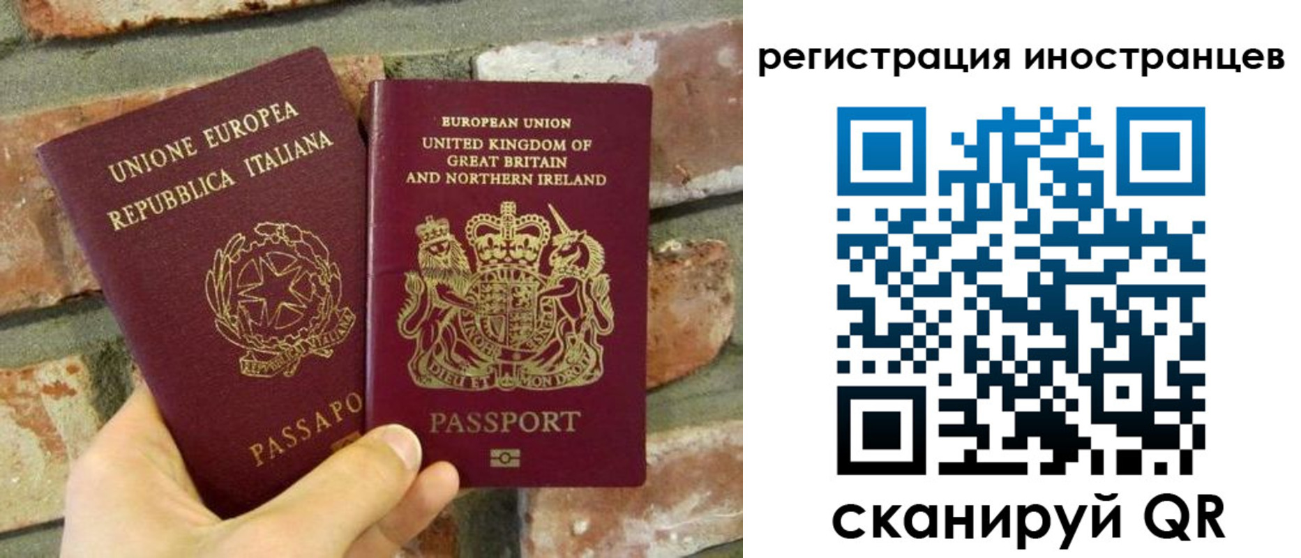 временная регистрация для школы в Судогде